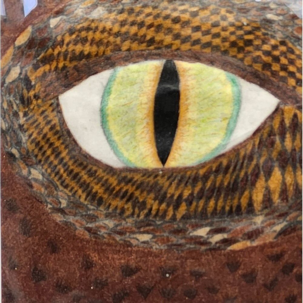 Hand Crafted Dragons Eye Original Colored Drawing Framed Pencil Art